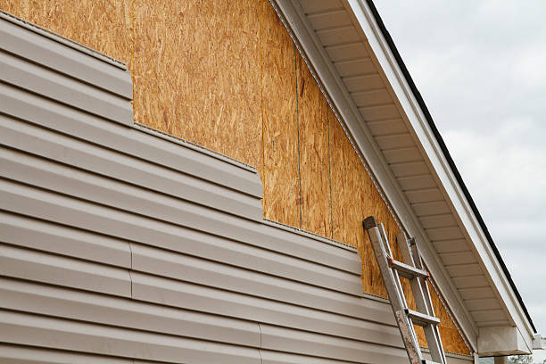 Professional Siding Repair technician working in Georgetown, CO